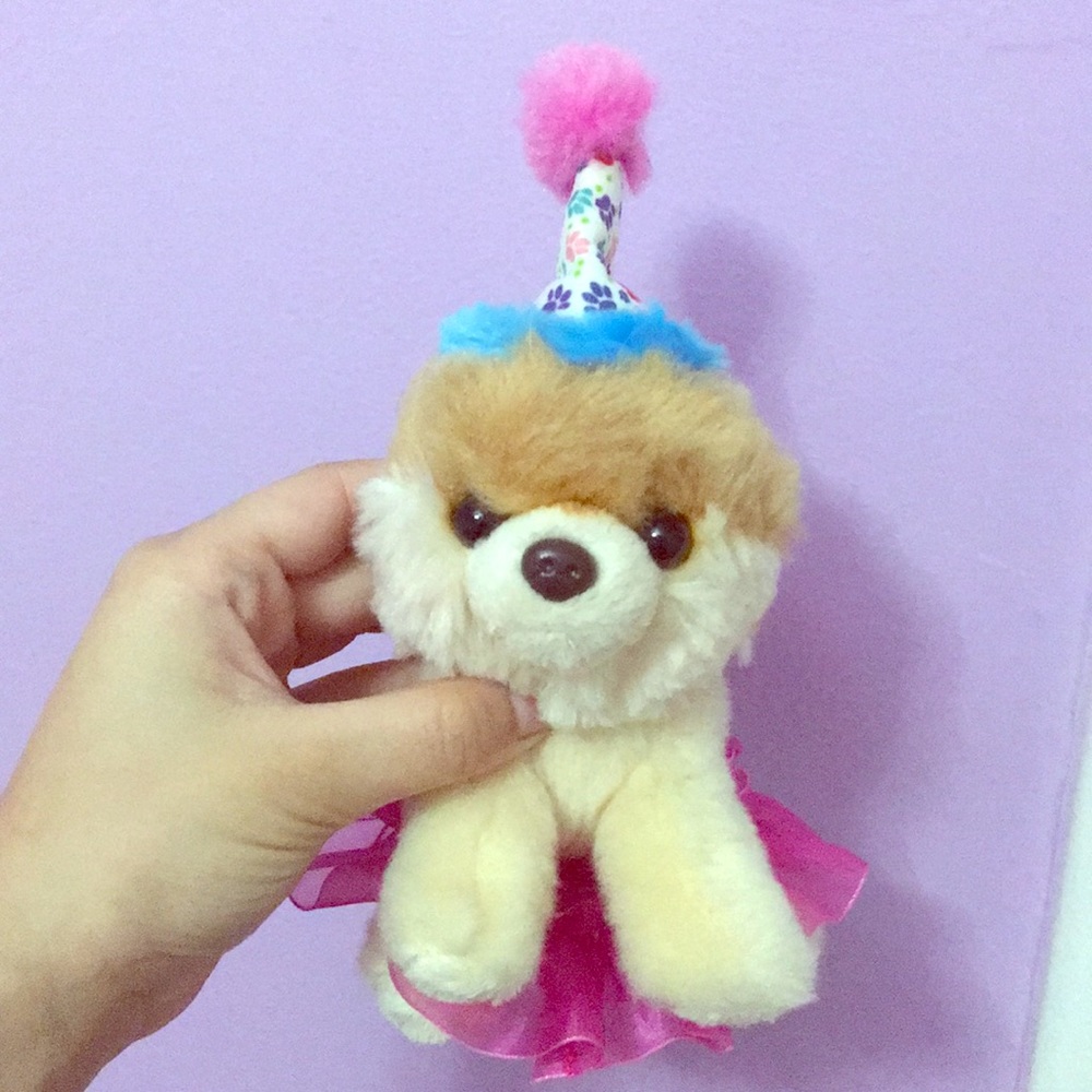 The dog boo